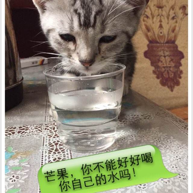 南宁师范大学学位证书